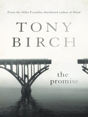 cover image of The Promise